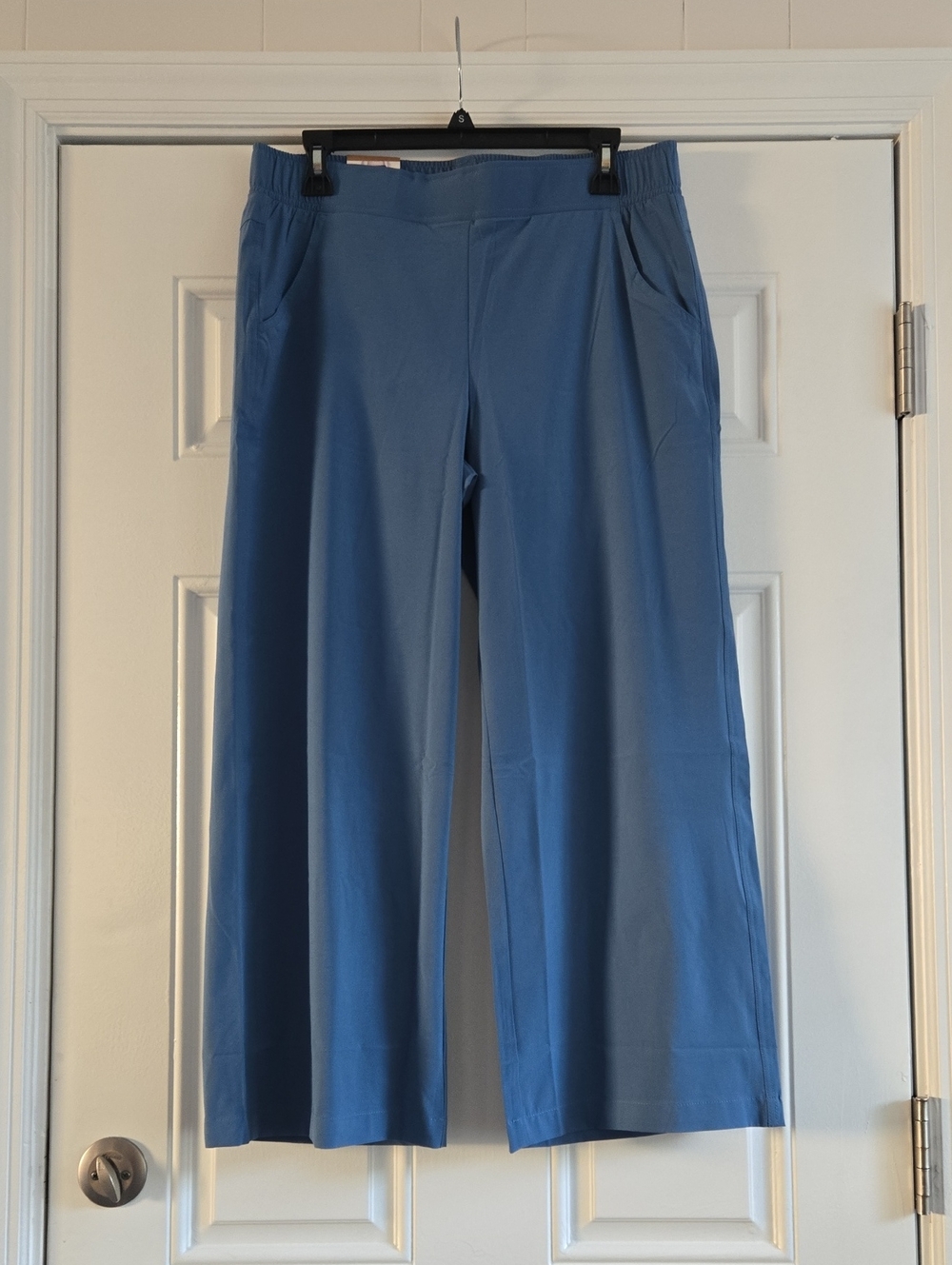 Eddie Bauer Wide-Leg Pull-On Pants in Light Blue M